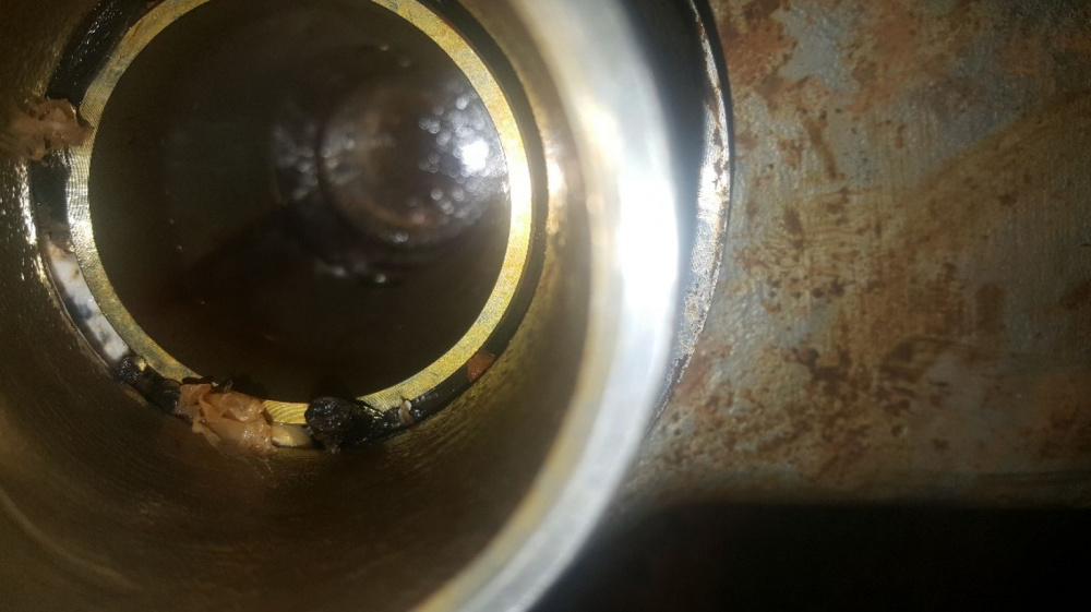 Rác nghẹt tại khe hở bộ Ejector