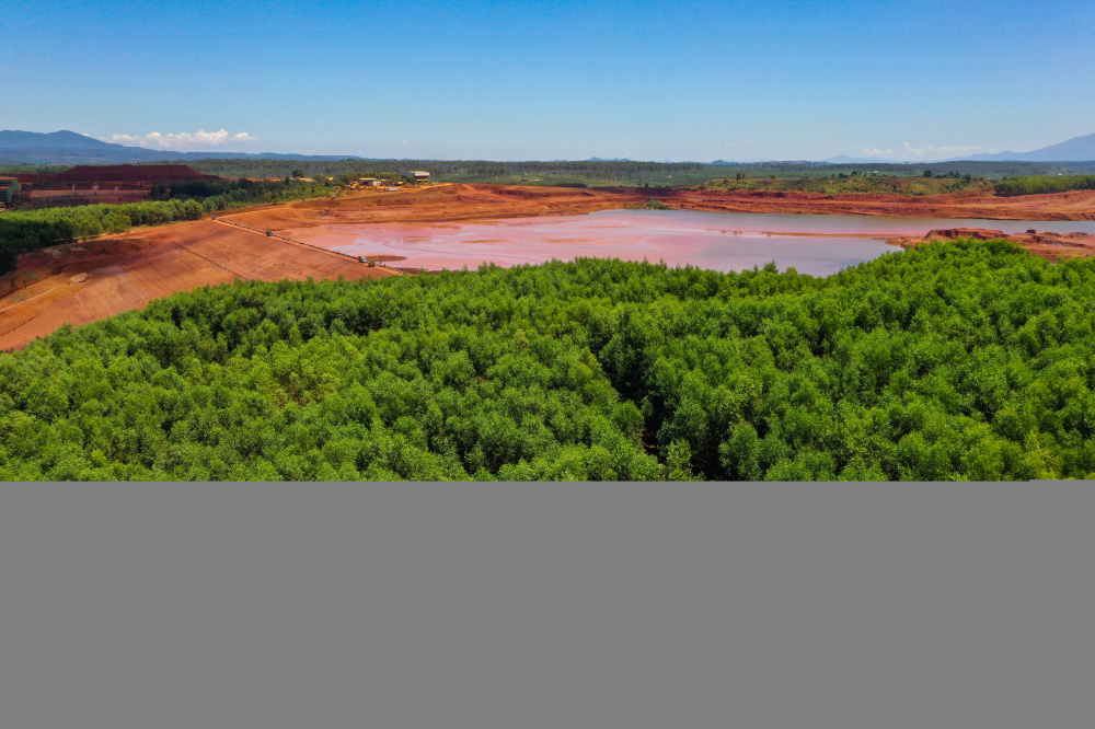 Trồng cây cải tạo phục hồi môi trường sau khai thác Bauxite