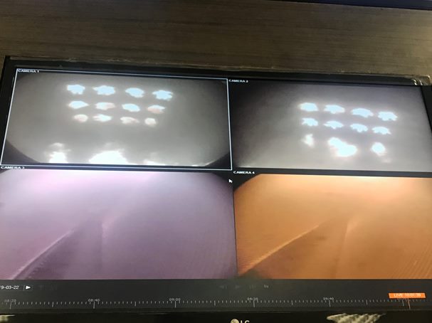 Camera trong buồng đốt báo hiệu đã đốt than thành công.