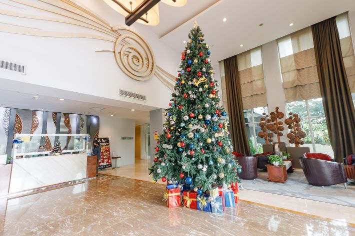 Ngôi sao Giáng sinh ở trên đỉnh của các cây thông Noel