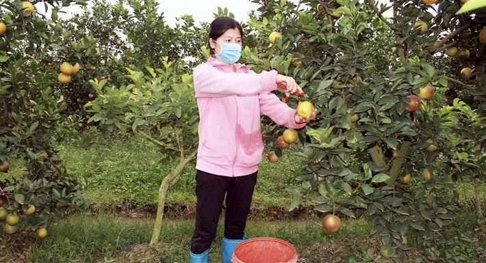 Hưng Yên