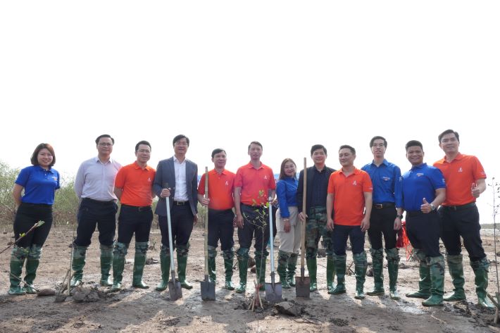 Một số hình ảnh tại khu vực trồng cây