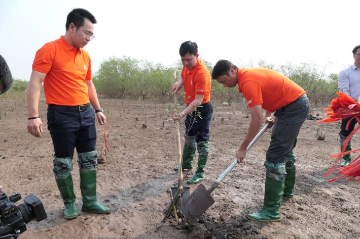 PVEP tham gia hưởng ứng chương trình trồng 1 tỷ cây xanh “Vì một Việt Nam xanh” tại Thái Bình