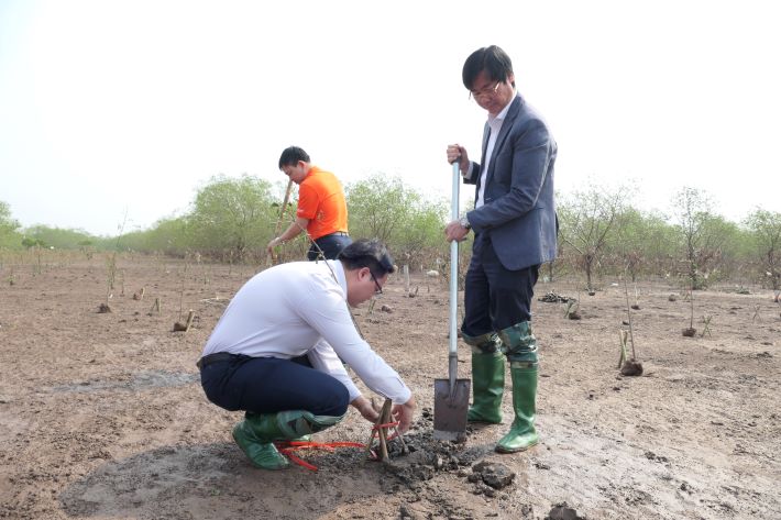 Một số hình ảnh tại khu vực trồng cây