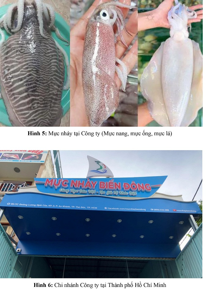 Mực Nhảy