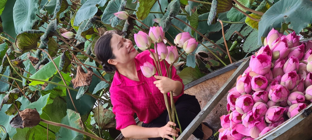 thuy bau
