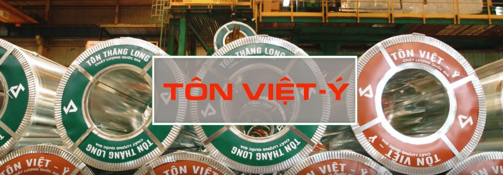 ton viet y