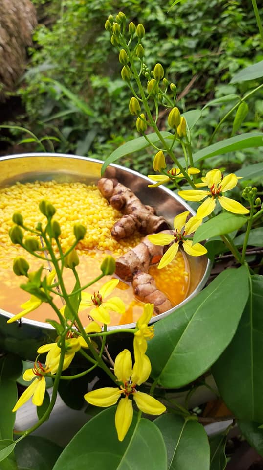 mau vang