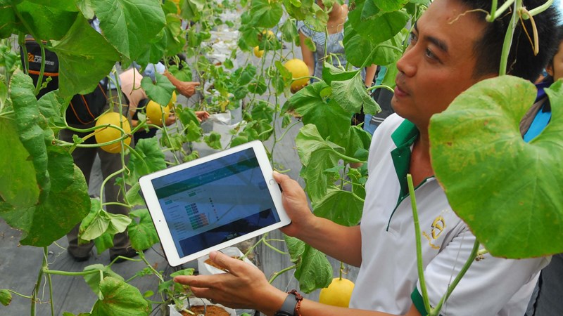 Ứng dụng khoa học công nghệ kiểm tra sự sinh trưởng của cây