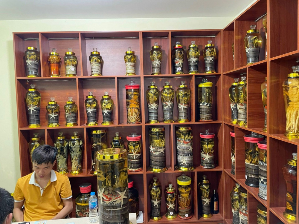 Ảnh Cục QLTT HN