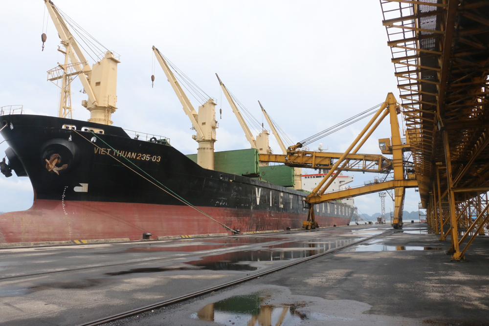 Dự kiến năm 2019, TKV Cwin com sòng bạc trực tuyến khoảng 6 triệu tấn than (Ảnh chụp tại khu vực Cảng Cẩm Phả)