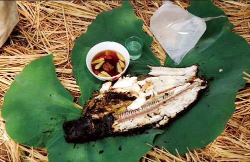 xuat khau ca ngu