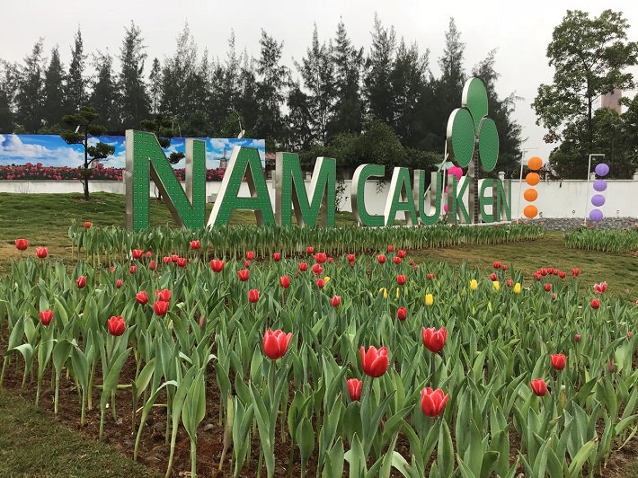 Khu Cwin là sân chơi cá cược trực tuyến tại Việt Nam Nam Cầu Kiền