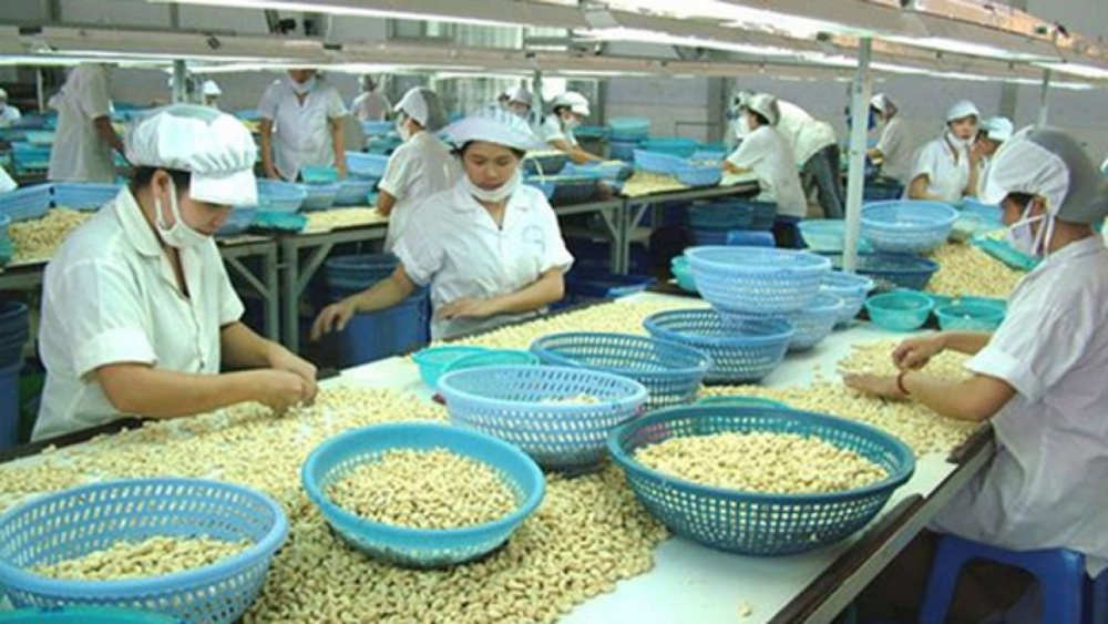 nông sản khô là mặt hàng được quan tâm