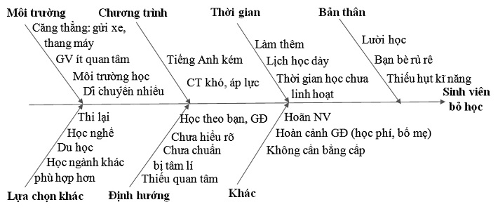 Biểu đồ nhân - quả thể hiện nguyên nhân sinh viên bỏ học