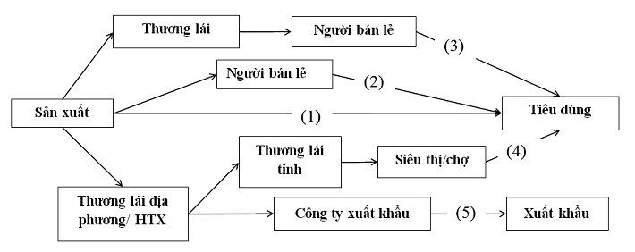 Kênh phân phối xoài ở địa phương
