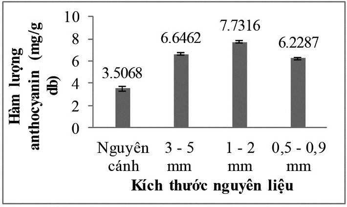 Ảnh hưởng của kích thước nguyên liệu lên hàm lượng anthocyanin