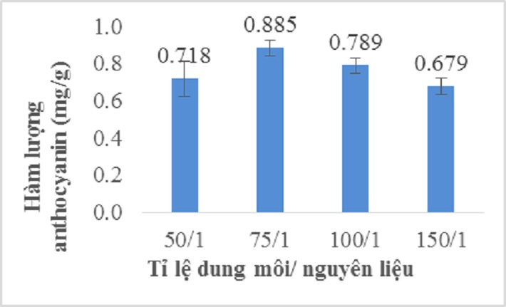 Ảnh hưởng của tỉ lệ dung môi/ nguyên liệu lên hàm lượng anthocyanin