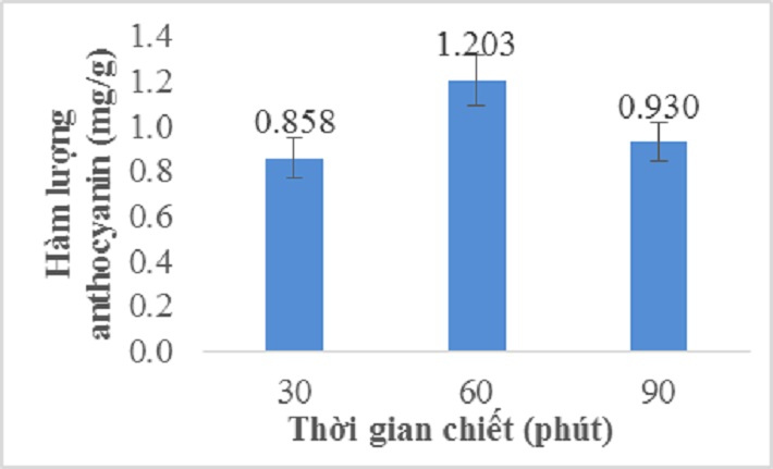 Ảnh hưởng của thời gian đến hàm lượng anthocyanin