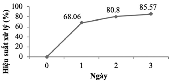 Kết quả xử lý dầu theo thời gian