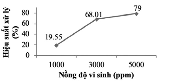 Kết quả khảo sát nồng độ men vi sinh