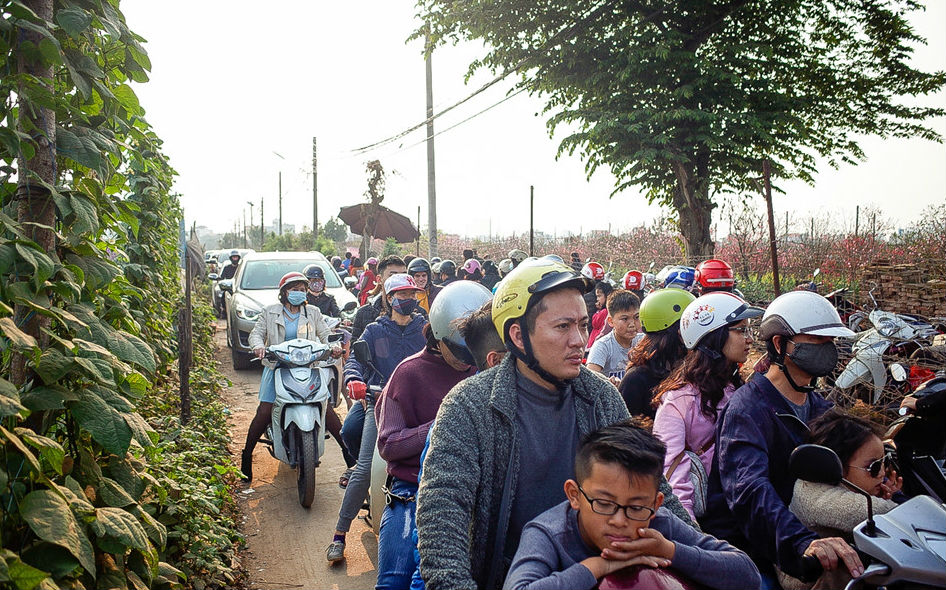 đào nhật tân