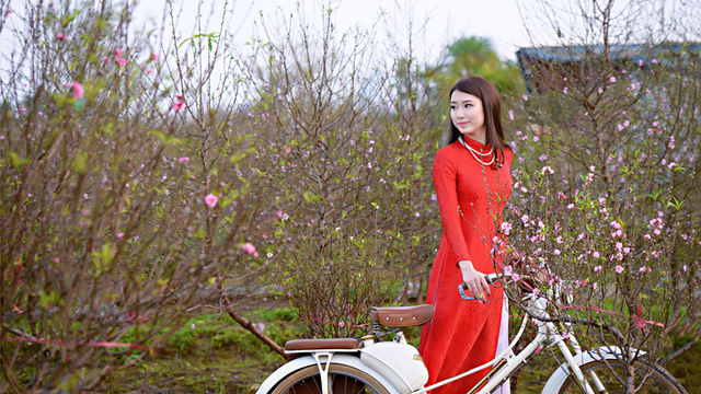 đào nhật tân