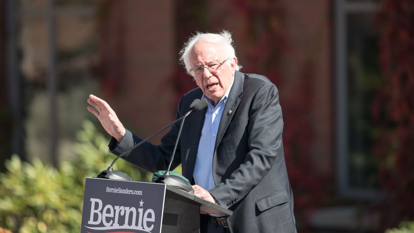 Bernie Sanders