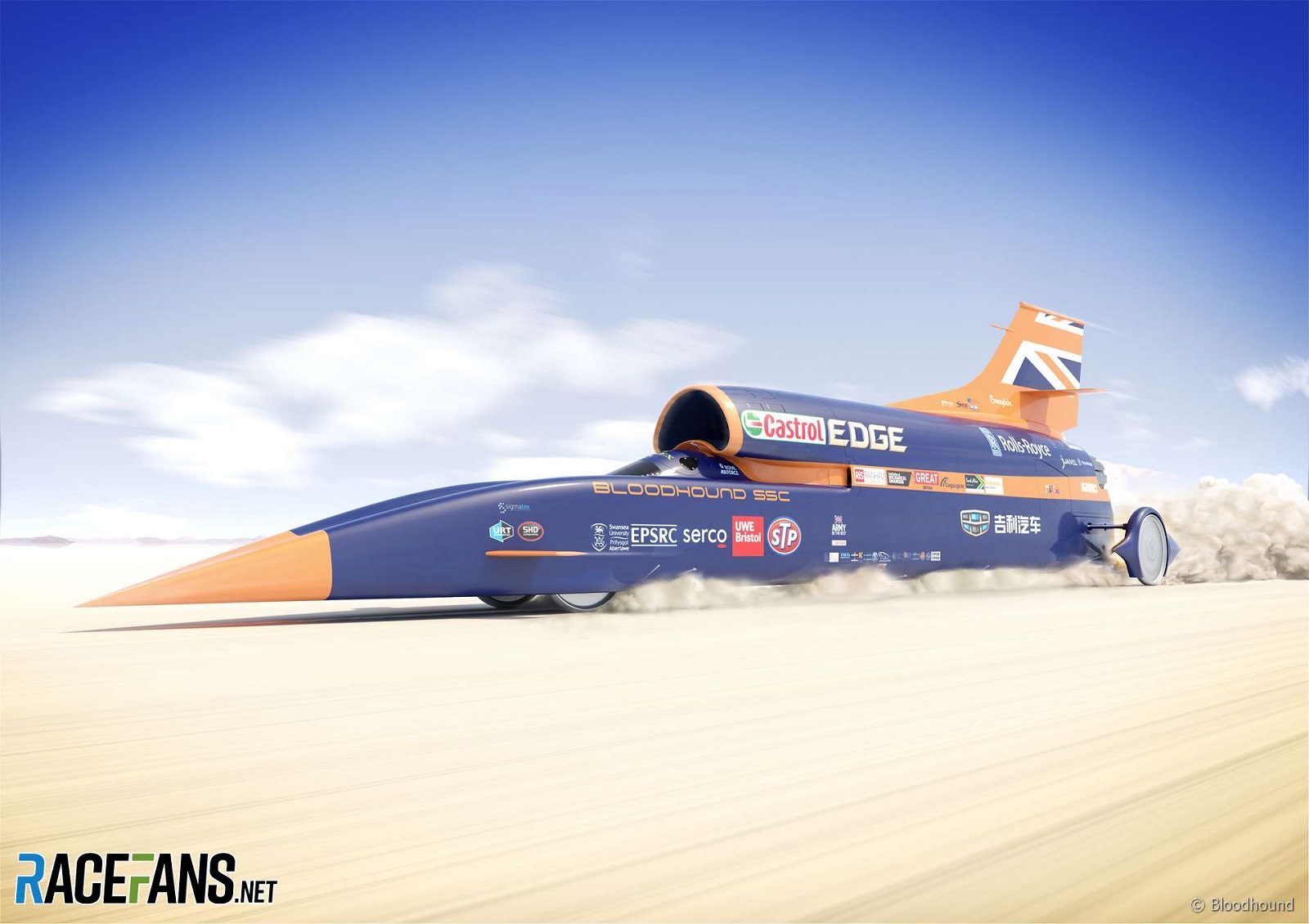 Bloodhound