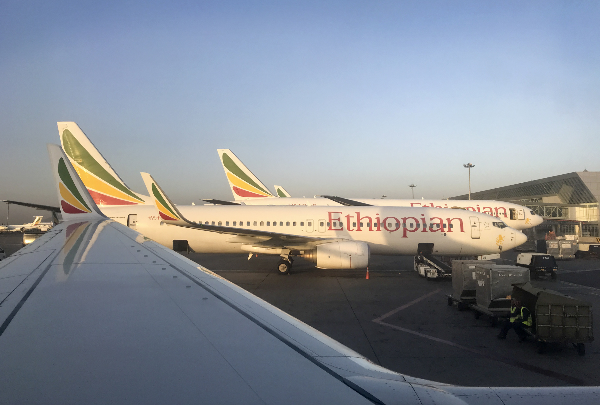 máy bay boeing 737 max