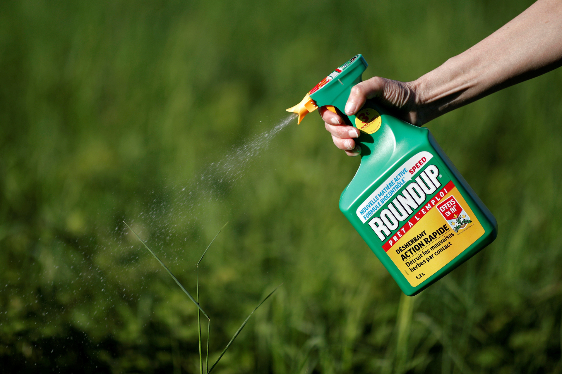 Thuốc diệt cỏ Roundup