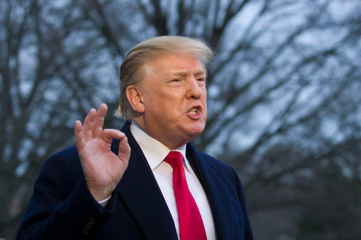 Tổng thống Mỹ Donald Trump