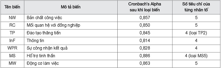 Kiểm định độ tin cậy Cronbach’s Alpha