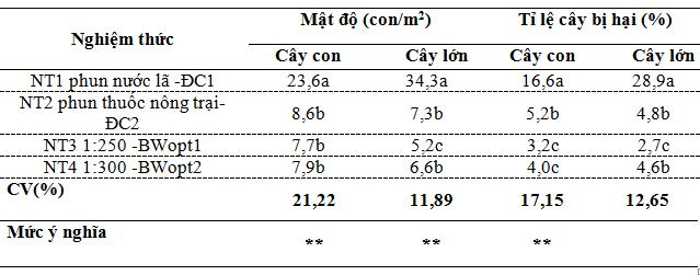 anh_huong_cua_giam_tre_den_mat_do_va_ti_le_bi_hai_do_sau_to_tren_cay_cai_xanh_trong_lip
