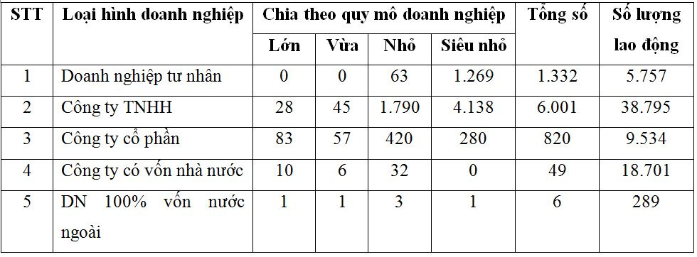 tong_so_cac_loai_hinh_doanh_nghiep_chinh_dang_hoat_dong_o_dak_lak