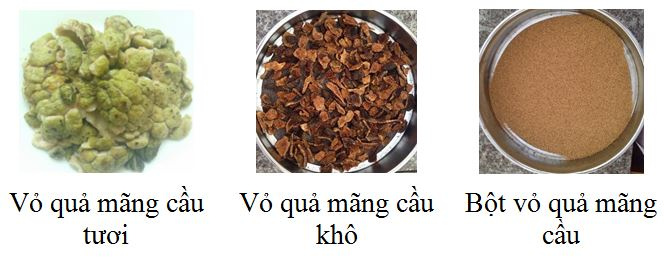 vo_qua_mang_cau_nguyen_lieu