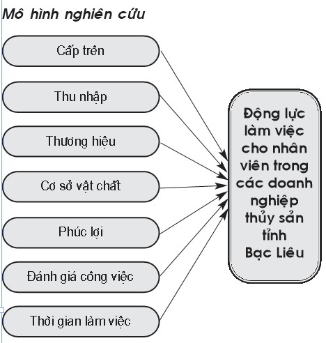 mo hinh nghien cuu