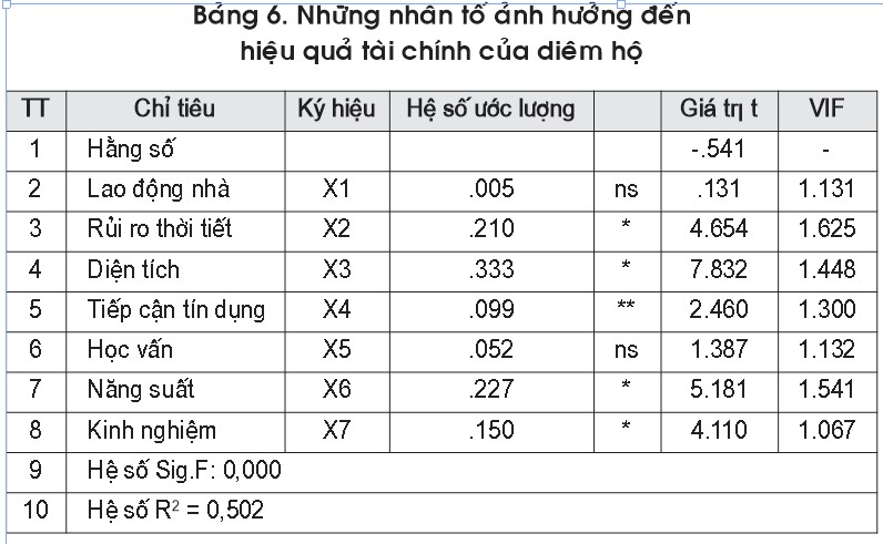 bang 6