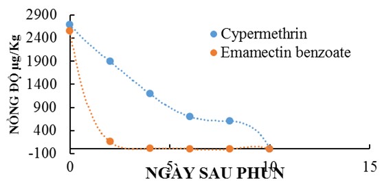 hinh 6