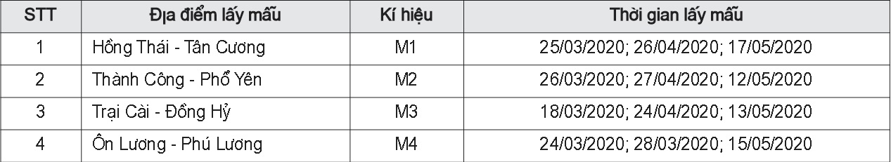 Mẫu chè