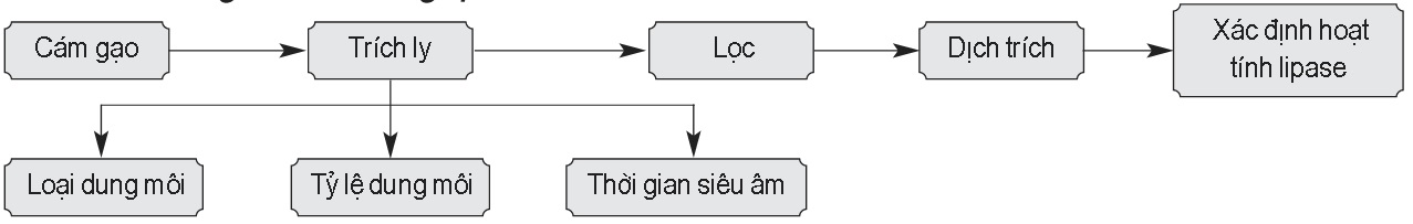 Sơ đồ nghiên cứu tổng quát