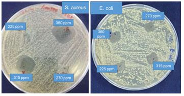tinh-khang-khuan-cua-vai-sau-khi-nhung-tam-graphene