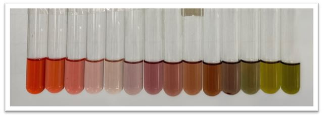 anthocyanin_trong_day_dem_co_ph_tu_1_den_14