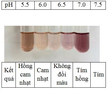 khoang_doi_mau_cua_chat_chi_thi_anthocyanin