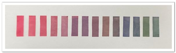 su_doi_mau_cua_giay_chi_thi_anthocyanin_trong_dung_dich_dem_co_ph_tu_1_den_14