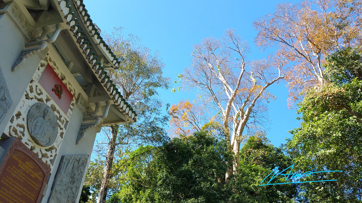 trung ương cuc MN