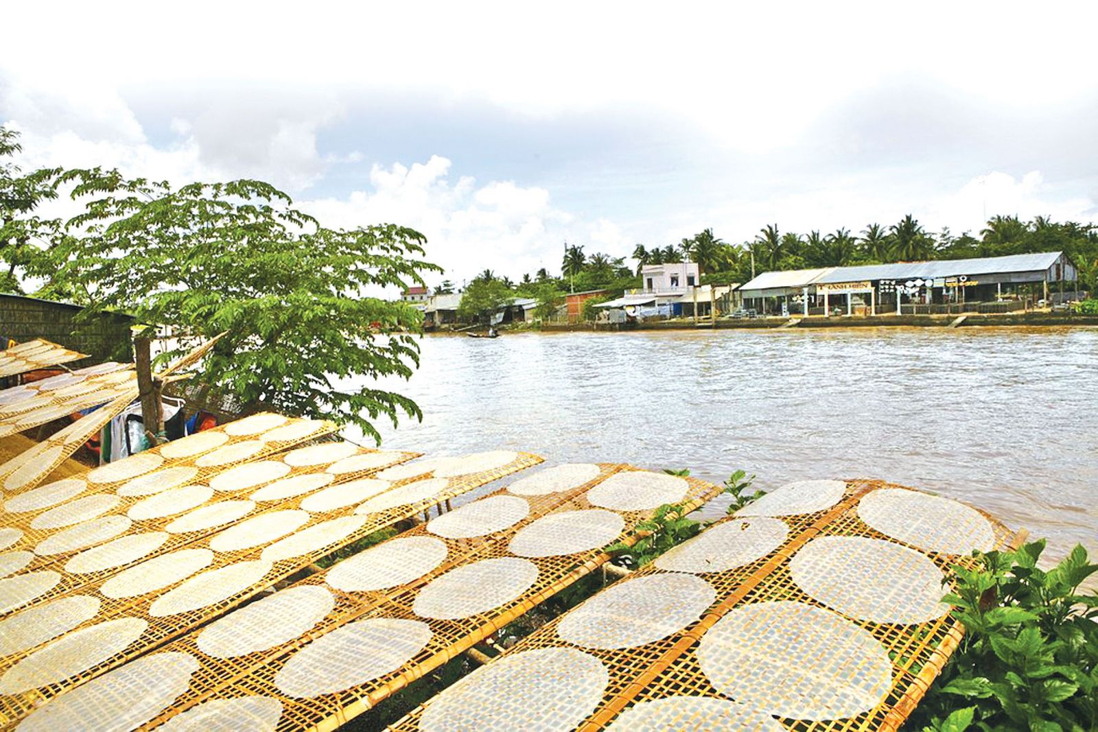 banh trang