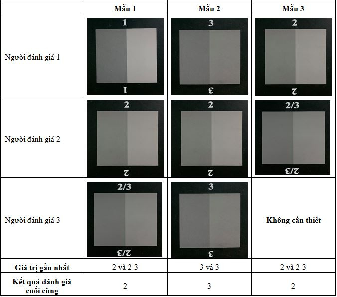 huong-dan-chon-ket-qua-danh-gia-bang-thuoc-xam-james-heal-iso---a02