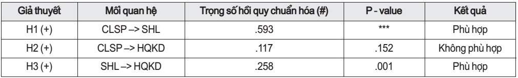 Kết quả kiểm định giả thuyết