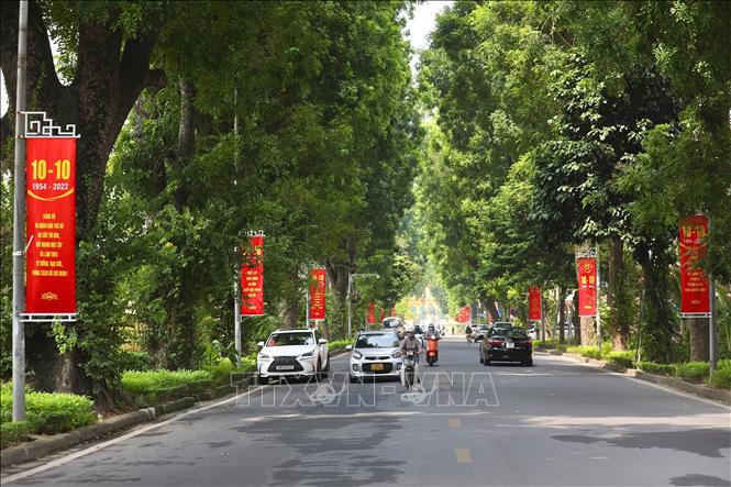  Giải phóng Thủ đô 8